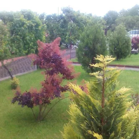 Tatil Evi La Izvor *